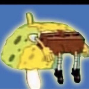 Meet your Posher, Nate